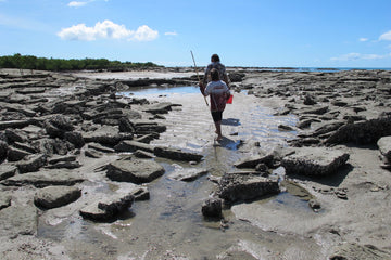 Reef Discovery Walk