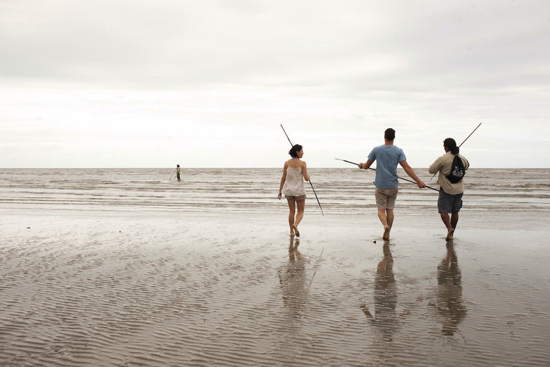 Cultural Beach, Mangroves and Mudflat Tour