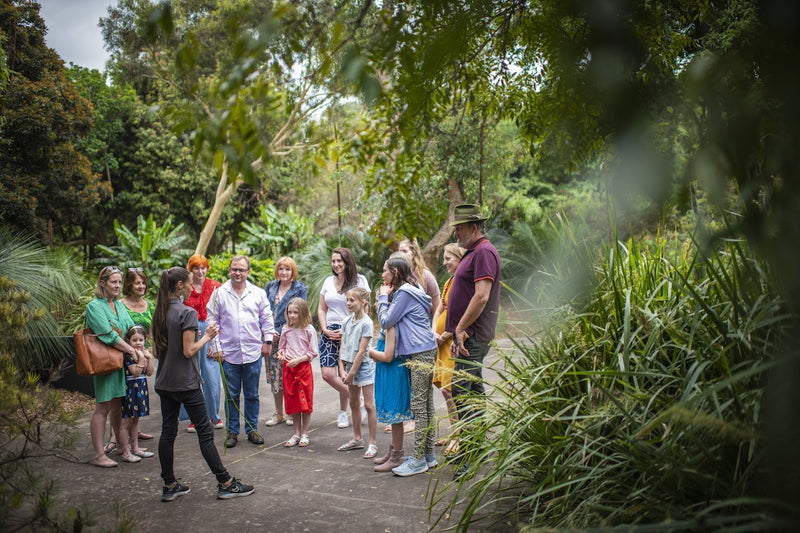 Aboriginal Bush Tucker Tour, Royal Botanic Garden Sydney