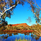 4WD Tag Along Tour