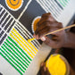 Online Dot Painting Workshop