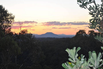 Mount Yengo Full Day Tour