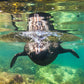 Kangaroo Island Snorkelling Tour