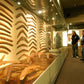 South Australian Museum Cultural Tour