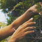 Private Aboriginal Tour in Byron Bay region