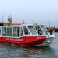 Dolphin and Shipwreck Cruise
