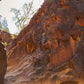Sacred Canyon - Yura Mulka - Cultural Walk