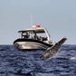 Cultural Whale Watching