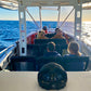 Cultural Whale Watching