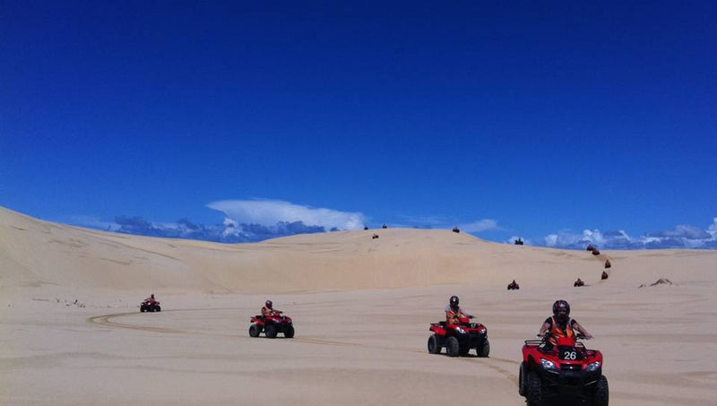 One Hour Quad Bike Adventure Tour