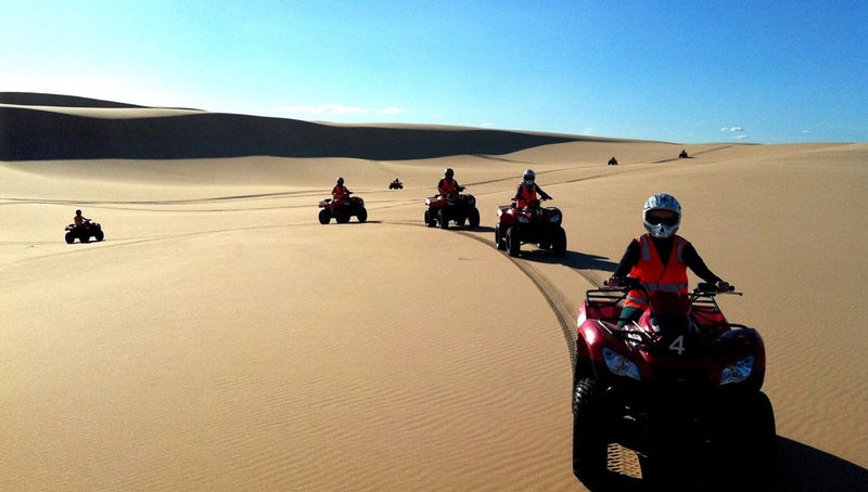 One Hour Quad Bike Adventure Tour