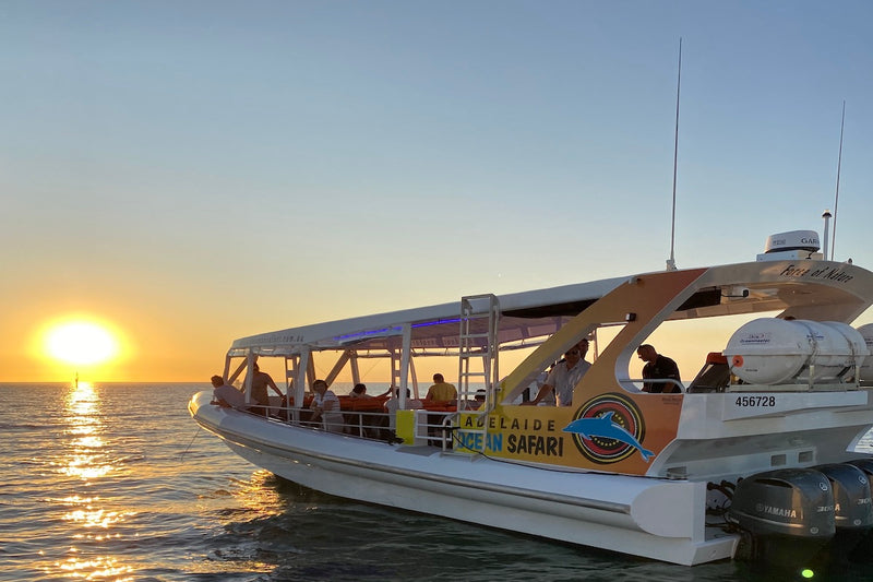 75 minute Kangaroo Island Ocean Safari