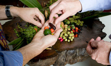 Bush Food Afternoon Tea - Sydney