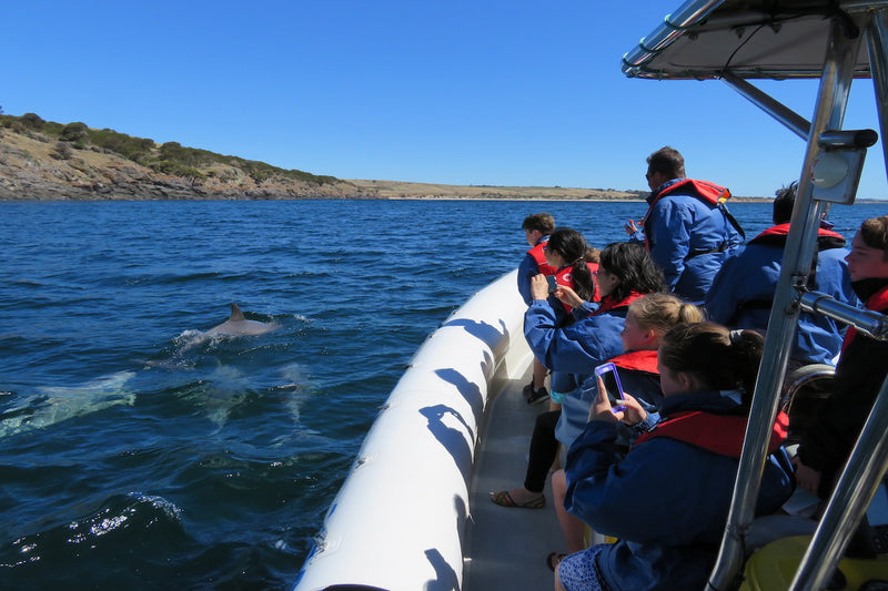 75 minute Kangaroo Island Ocean Safari