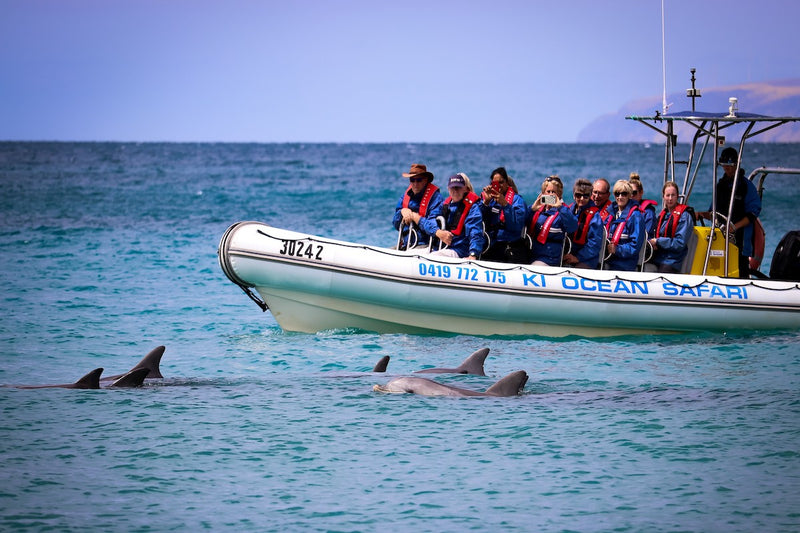 Kangaroo Island Snorkelling Tour