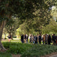 Cultural Tour of Adelaide Botanic Garden