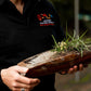 Cultural Tour of Adelaide Botanic Garden