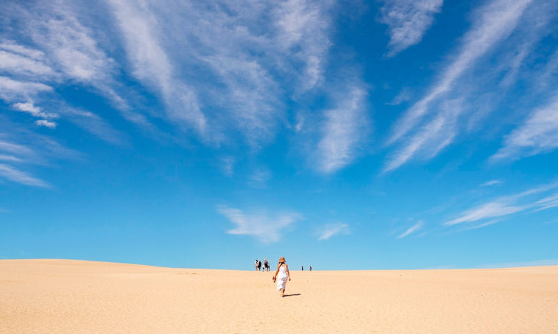 Coorong Adventure Cruise