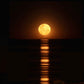 Staircase to the Moon