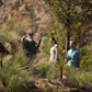 Wilpena Pound 3 Night Discovery Package