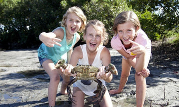 Bush Tucker and Crab Catching Adventure Cruise