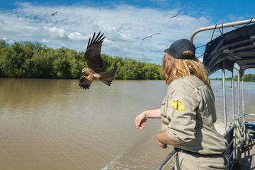 Spectacular Jumping Crocodile Cruise