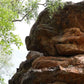 Kakadu National Park Private Rock Art tour