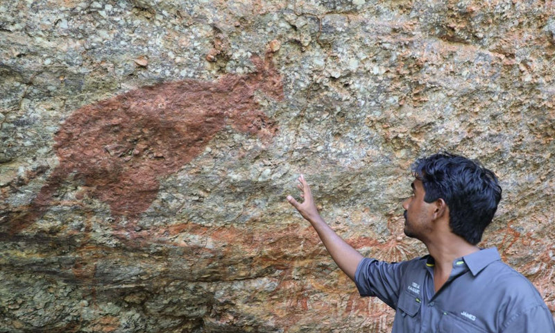 Kakadu National Park Private Rock Art tour