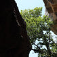 Kakadu National Park Private Rock Art tour