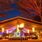 Aboriginal Dining Experience