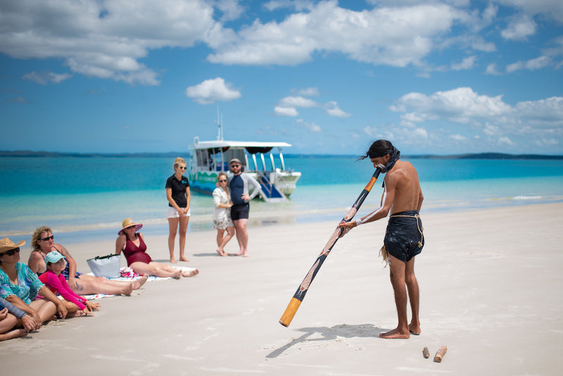 Turtle Discovery Ecotour