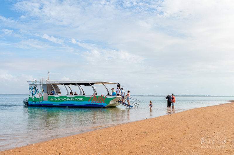 Turtle Discovery Ecotour