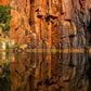4WD Tag Along Tour
