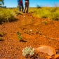 4WD Tag Along Tour