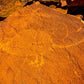 Rock Art Tour, Murujuga National Park