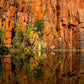 4WD Tag Along Tour