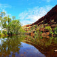 4WD Tag Along Tour