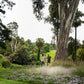 Aboriginal Heritage Walk, Melbourne Gardens