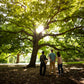 Aboriginal Heritage Walk, Melbourne Gardens