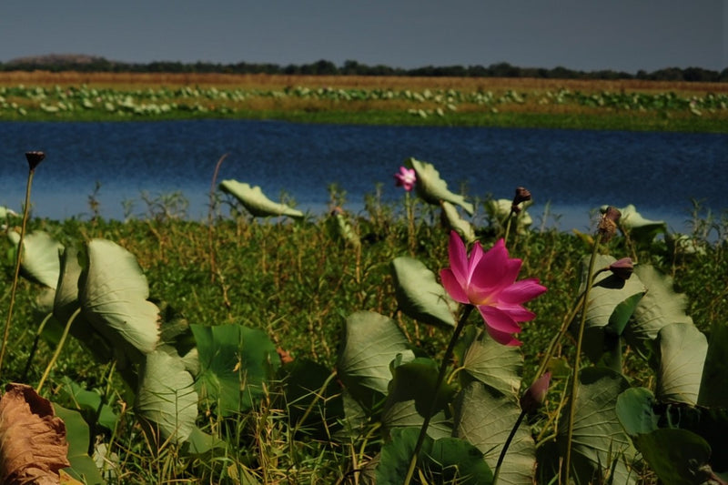 Mikinj Valley Arnhem Land Day Tour