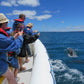 75 minute Kangaroo Island Ocean Safari