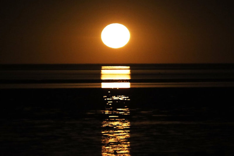 Broome Staircase to the Moon Exclusive