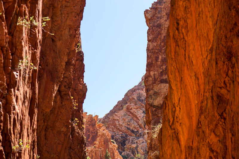 Standley Chasm Aboriginal Guided Cultural Tour and Talk